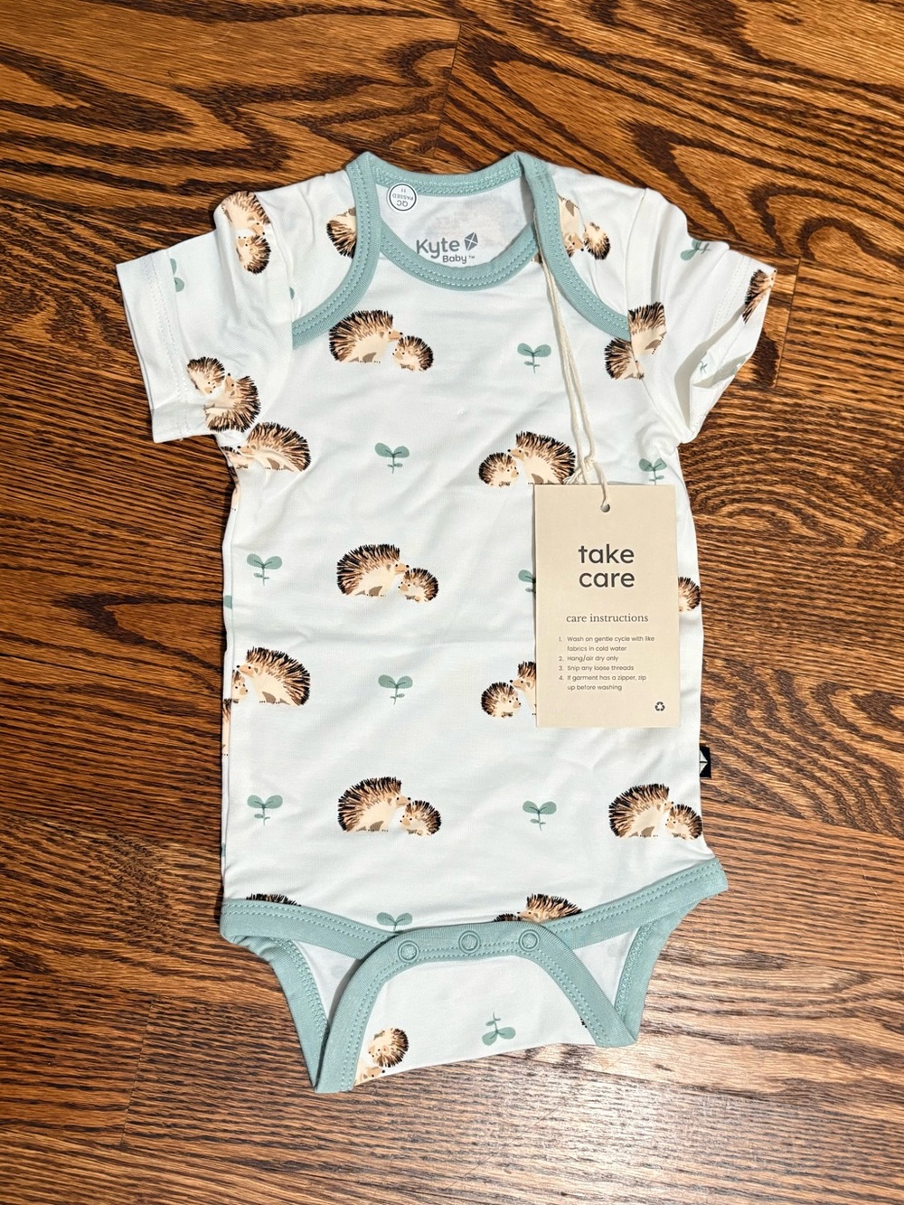Kyte BABY Seafoam Hedgehog Short Sleeve One-Piece with Sage Trim